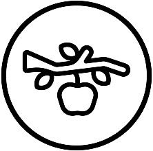 Apple on a tree icon